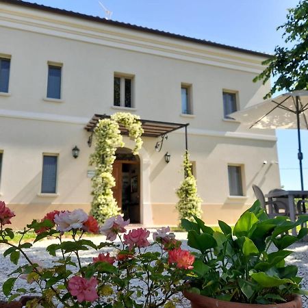 Villa Marietta Country House - Marche Montemaggiore al Metauro Dış mekan fotoğraf