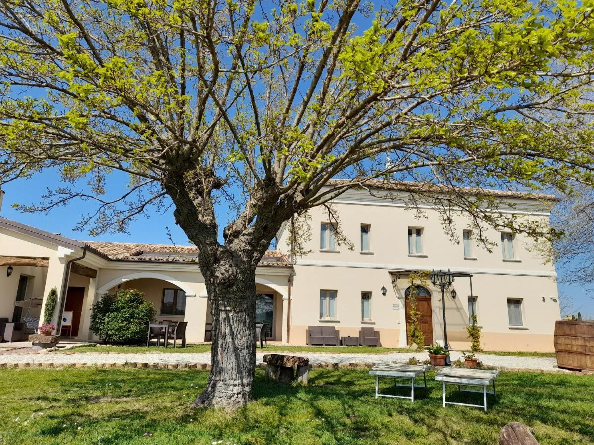 Villa Marietta Country House - Marche Montemaggiore al Metauro Dış mekan fotoğraf