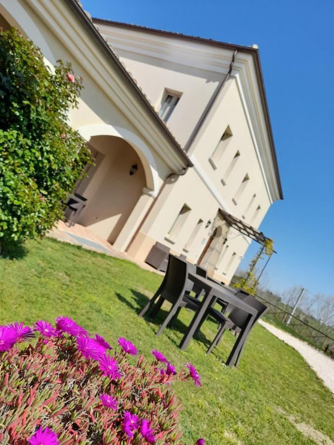 Villa Marietta Country House - Marche Montemaggiore al Metauro Dış mekan fotoğraf