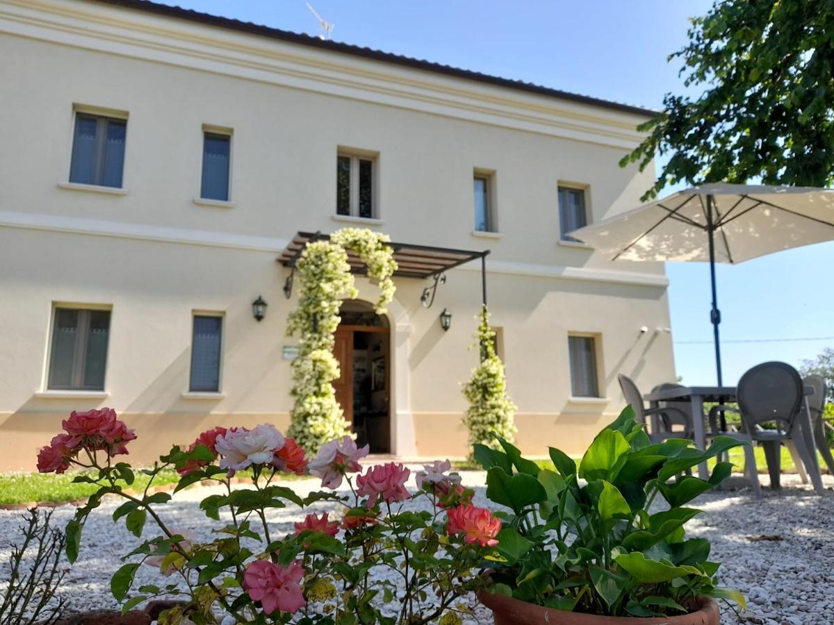 Villa Marietta Country House - Marche Montemaggiore al Metauro Dış mekan fotoğraf