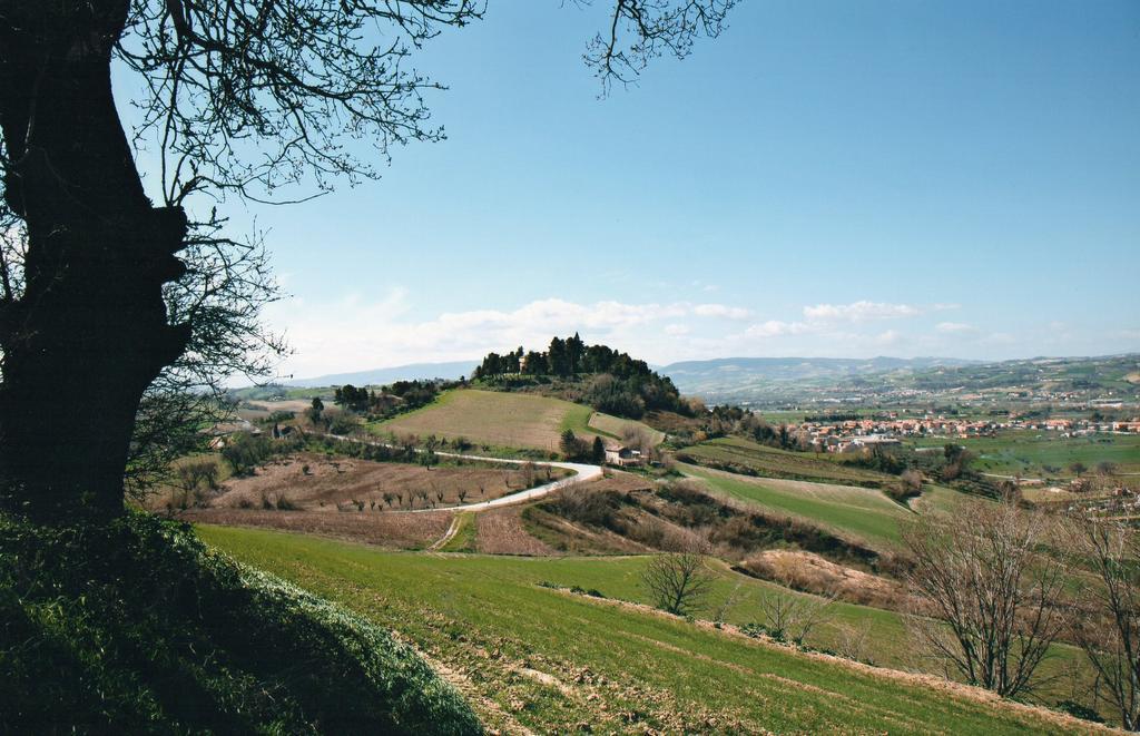 Villa Marietta Country House - Marche Montemaggiore al Metauro Dış mekan fotoğraf